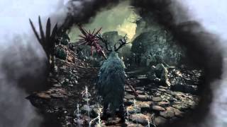 Bloodborne  Bloodletter Weapon PvP [upl. by Repmek445]