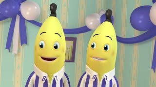 The Surprise  Animated Episode  Bananas in Pyjamas Official [upl. by Loma]