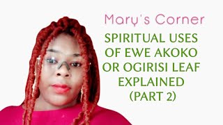 SPIRITUAL USES OF EWE AKOKO OR OGIRISI LEAF EXPLAINED PART 2 [upl. by Alidia]