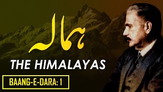 BaangeDara 1  Hamala  Allama Iqbal  Iqbaliyat  AadhiBaat  Urdu Shayari [upl. by Ulrikaumeko736]