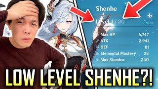 My low level Shenhe can still do this WOW [upl. by Roderick]