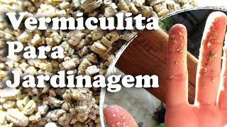 Vermiculita para Jardinagem  O Que é e Como Utilizar a Vermiculita [upl. by Evangelina]