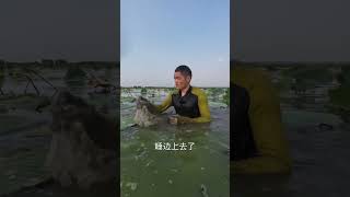 CRAZY river Fishing moment fish fishing [upl. by Navac]