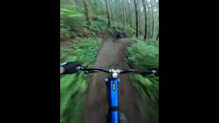 ⚡️Singletrack⚡️ emtb [upl. by Nosyk]