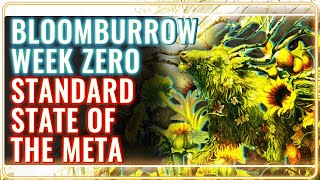 MTG Standard Bloomburrow Week 0  MTG Rebellion State of the Meta [upl. by Malony]