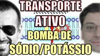 Transporte Ativo Bomba de Sódio Na e Potássio K  Biologia Celular  VideoAula 107 [upl. by Ulphi]