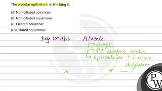 The alveolar epithelium in the lung is [upl. by Anaerdna]