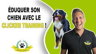 LEDUCATION DU CHIOT  PAR QUOI COMMENCER [upl. by Sinnaiy]