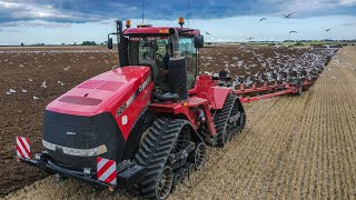 Case Quadtrac  Gregoire Besson 9 Furrow Plow [upl. by Doreen242]