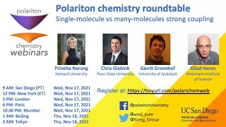 Polariton Chemistry Roundtable  Singlemolecule vs manymolecule strong coupling regimes [upl. by Llien636]