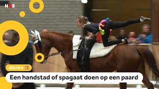 Dit is voltige turnen op de rug van een paard [upl. by Eixid]