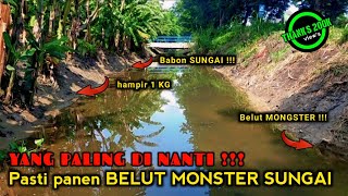 INILAH SAAT TERBAIK UNTUK MANCING BELUT BESAR DI SUNGAI [upl. by Haziza]