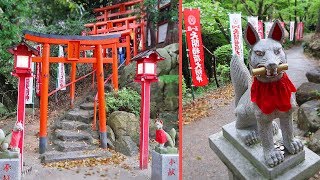 MYSTERIOUS FOX SHRINE ADVENTURE Dazaifu  Fukuoka Day Trip [upl. by Livvy]