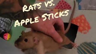 Rats Vs Apple Sticks [upl. by Jentoft]