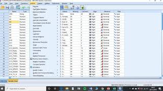 Putting your Excel coded data into SPSS [upl. by Hobart986]