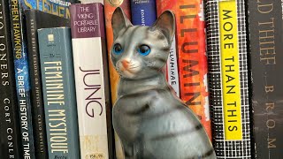 REORGANIZING MY ROOM amp BOOKSHELF ♥️🐾 [upl. by Thunell11]