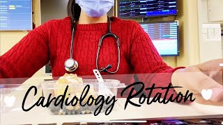 Cardiology rotation  Life of an Indian doctor in USA [upl. by Ainar]