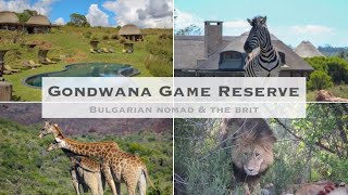 South Africa Trip Gondwana Game Reserve [upl. by Ronacin379]