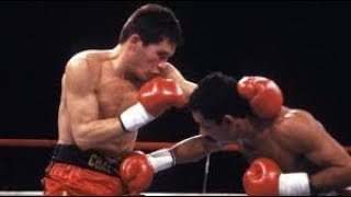 Julio Cesar Chavez vs Edwin Rosario Highlights [upl. by Maynord]