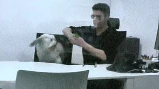 Simon Cowell and the new love in his life  Pudsey the dog [upl. by Keven]