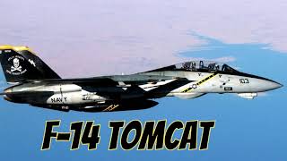 Grumman F14 Tomcat The Ferocious Feline [upl. by Sorel]