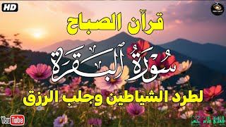 قرآن الصباح  سورة البقرة لحفظ وتحصين المنزل  بصوت الشيخ فارس حسن  جودة عالية [upl. by Alburg]