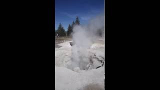 Yellowstone fumarole steam vent [upl. by Einned]