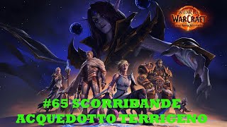 PR WoW The War Within 65  Scorribande acquedotto terrigeno thewarwithin worldofwarcraft wow [upl. by Ahsoym]