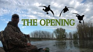 The Opening  2024 Minnesota Waterfowl Season Opener  First Hunt First Limit [upl. by Sirtemed]