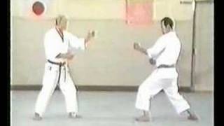 Wado Karate Techniques by Tatsuo Suzuki Sensei [upl. by Ellicec403]