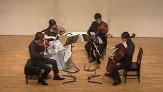 Beethoven String Quartet No4 in C minor op184 1mov [upl. by Lednahs]