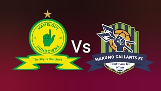 Mamelodi Sundowns vs Marumo Gallants FC South Africa Premier Soccer League Football Match Today Live [upl. by Eldon]