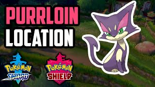 How to Catch Purrloin  Pokemon Sword amp Shield [upl. by Joella]