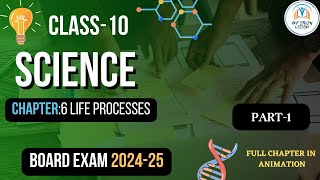 Class 10th SCIENCE BIOLOGY  LIFE PROCESSE PART I  AKF STUDY VISION [upl. by Thalia]