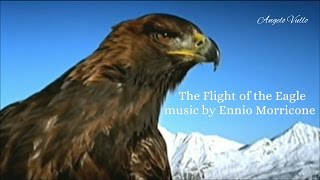 The Flight of the Eagle music by Ennio Morricone [upl. by Retsel]