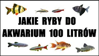 Jakie rybki akwariowe do akwarium około 100 litrów [upl. by Dorey507]