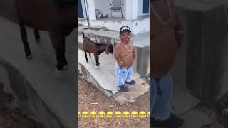 Amazing funny video🤣🤣trending youtubeshortsviralvideo funnyfunnyvideo facebook funny funny [upl. by Eicyac]