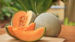 Yubari King Melon The Most Expensive Fruit in the World [upl. by Hplodur]