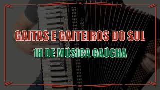 Gaitas e Gaiterios do Sul  1h de Música Gaúcha [upl. by Traggat188]