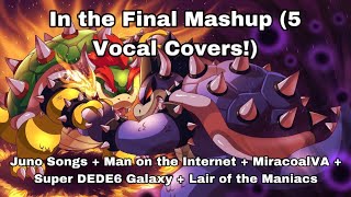 Mario amp Luigi Bowser Inside Story  In The Final Vocal Mashup Read Description [upl. by Neemsay]