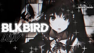 ℒund  Blkbird ✦TraduçãoLyrics✦ [upl. by Anayek582]