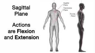 2 Sagittal Plane [upl. by Matteo]