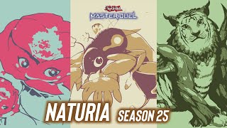 Best Naturia Deck  Season 25  Yugioh Master duel 2024 [upl. by Ahsiat775]