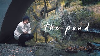 Rosendale  The Pond Lyric Video [upl. by Nerej]