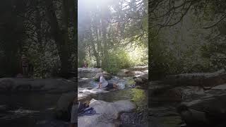 Calaveras Big Trees State Park Cooling Off in Stanislaus River EnjoyingSimpleLife [upl. by Rollecnahc]