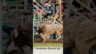 Bull Throws Cody Webster in the air then Escapes into the crowd codywebsterbullfighting [upl. by Welcher178]