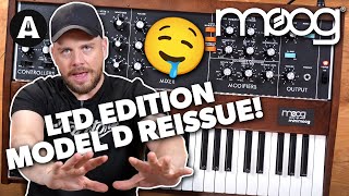 Moog Minimoog Model D 2022 Reissue  Jacks Impressions [upl. by Ahsieyk227]