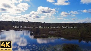 Henstedter Moor cinematic Drohnenshot mit der DJI Mini 2 [upl. by Adnileb950]