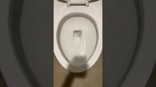 Testing a kohler Kingston ultra toliet [upl. by Eceinart]