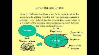 Part 2 StimulusResponseReinforcement [upl. by Airel]